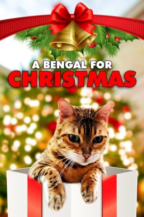 A Bengal For Christmas poster